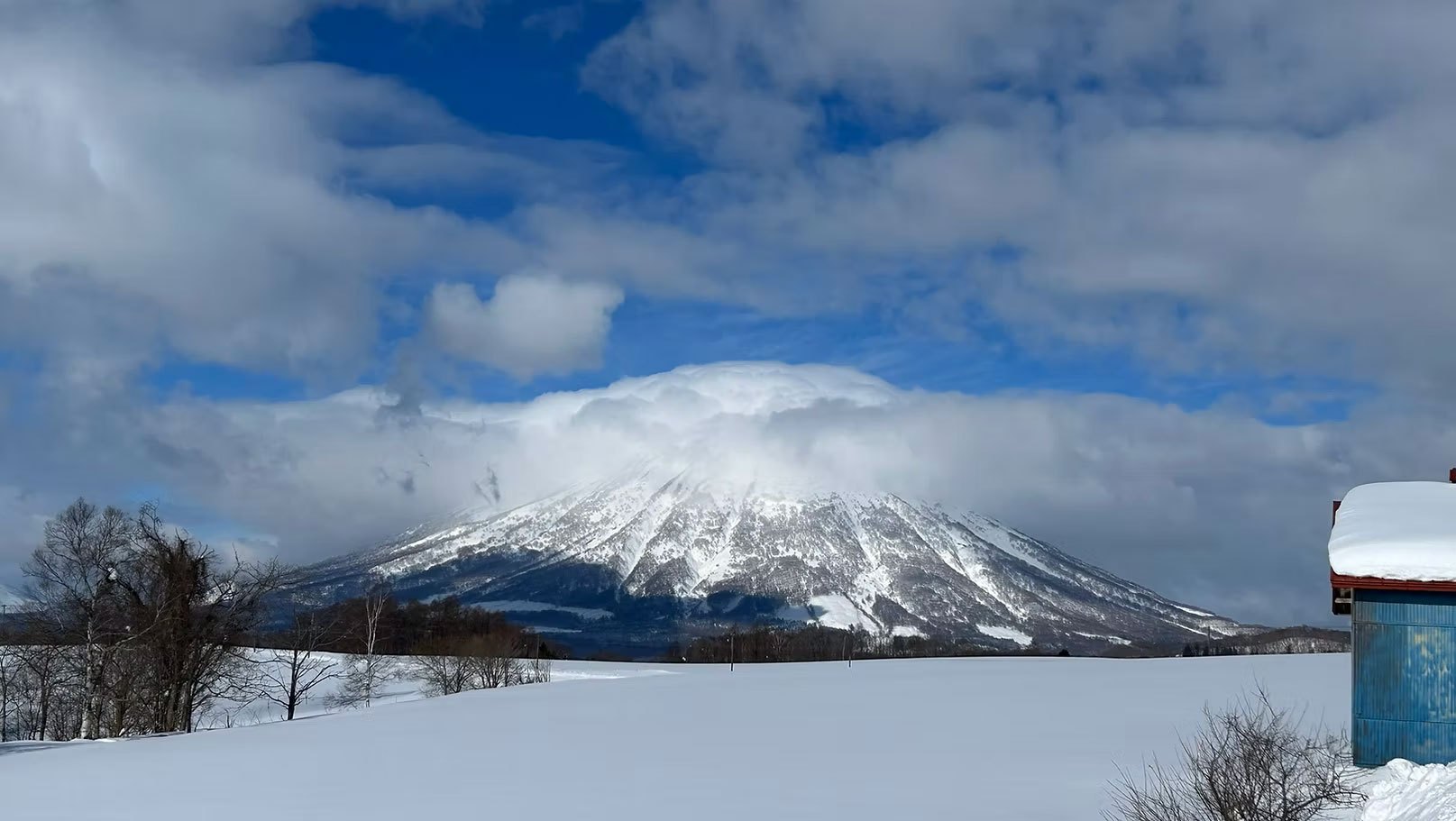 Embrace the Infinite Horizon